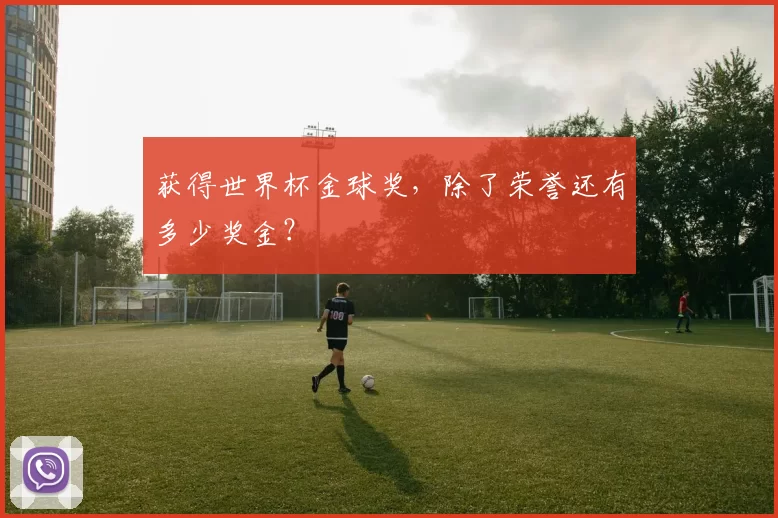 获得世界杯金球奖，除了荣誉还有多少奖金？