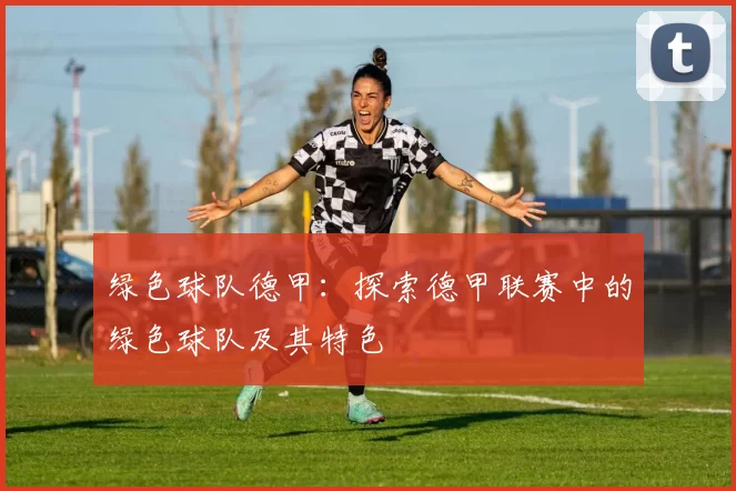 绿色球队德甲：探索德甲联赛中的绿色球队及其特色