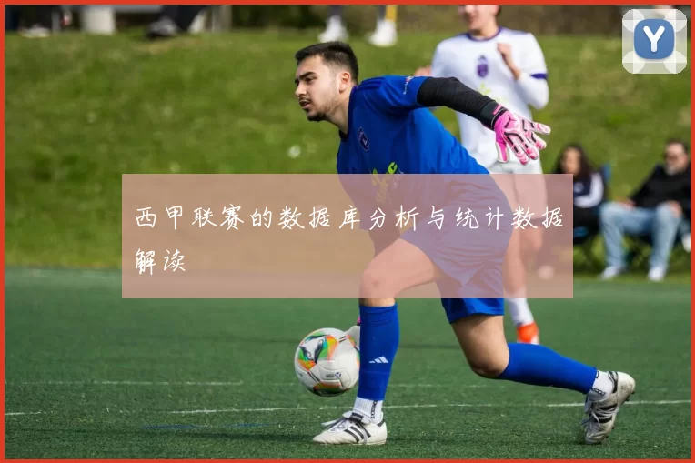西甲联赛的数据库分析与统计数据解读