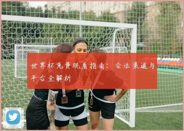 世界杯免费观看指南:合法渠道与平台全解析