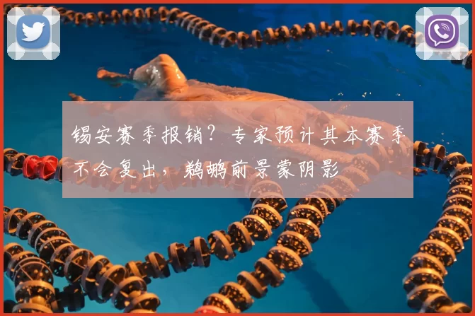 锡安赛季报销？专家预计其本赛季不会复出，鹈鹕前景蒙阴影