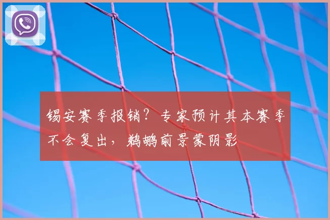 锡安赛季报销？专家预计其本赛季不会复出，鹈鹕前景蒙阴影