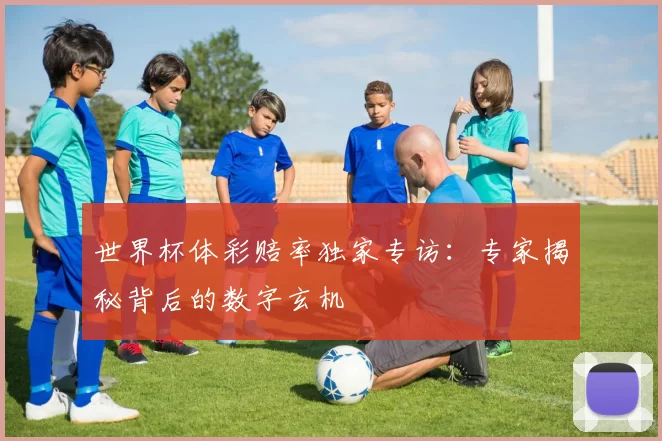 世界杯体彩赔率独家专访：专家揭秘背后的数字玄机