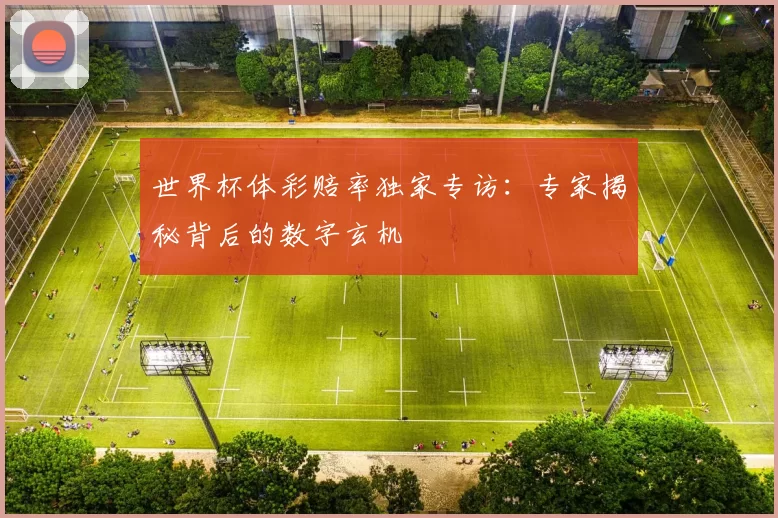 世界杯体彩赔率独家专访：专家揭秘背后的数字玄机