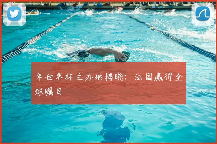年世界杯主办地揭晓：法国赢得全球瞩目