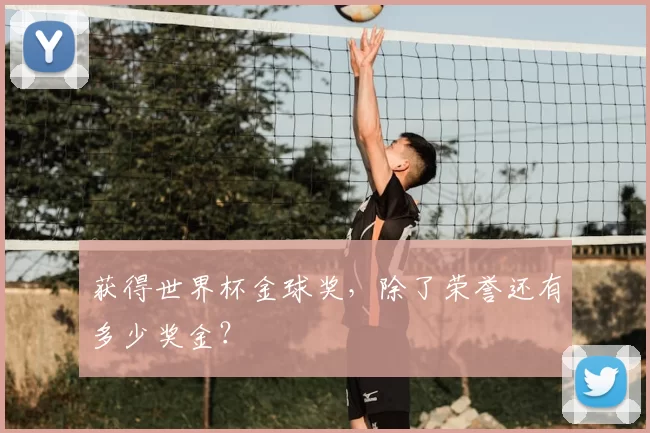 获得世界杯金球奖，除了荣誉还有多少奖金？