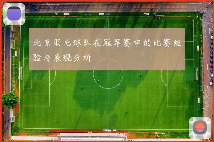北京羽毛球队在冠军赛中的比赛经验与表现分析