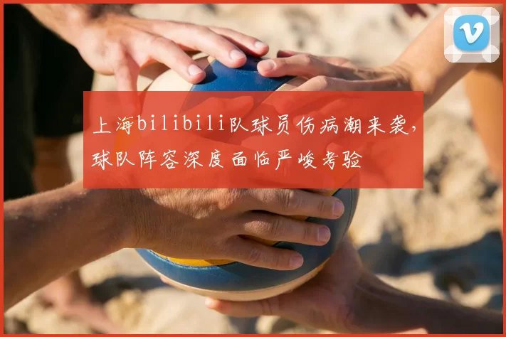 上海bilibili队球员伤病潮来袭，球队阵容深度面临严峻考验
