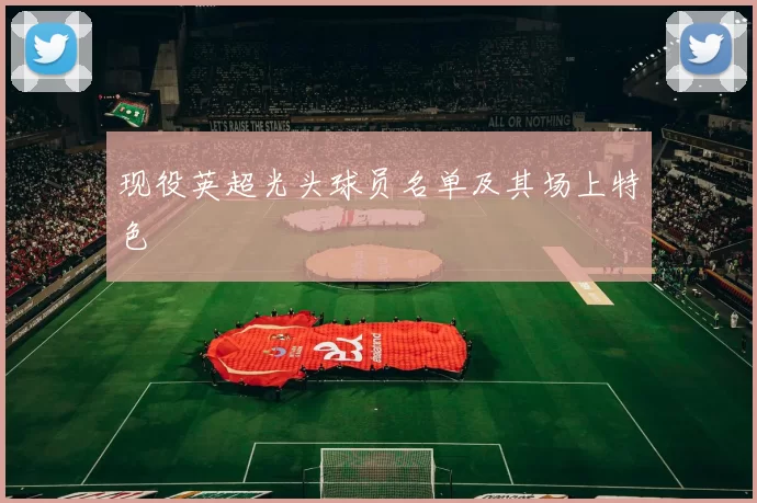 现役英超光头球员名单及其场上特色