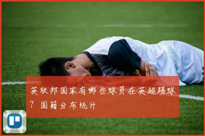 英联邦国家有哪些球员在英超踢球？国籍分布统计