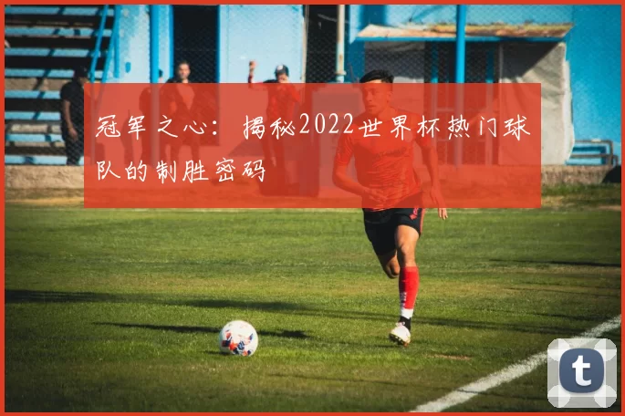 冠军之心：揭秘2022世界杯热门球队的制胜密码