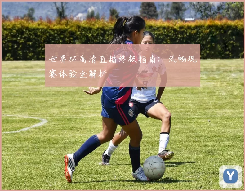 世界杯高清直播终极指南：流畅观赛体验全解析