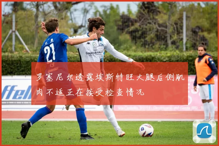 罗塞尼尔透露埃斯特旺大腿后侧肌肉不适正在接受检查情况