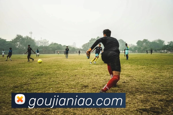 星空官网平台生态图