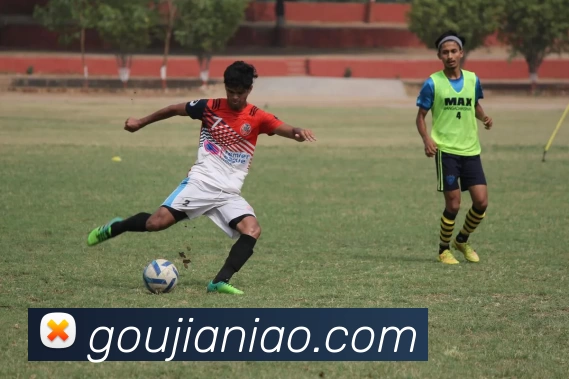 星空官网APP 封面图